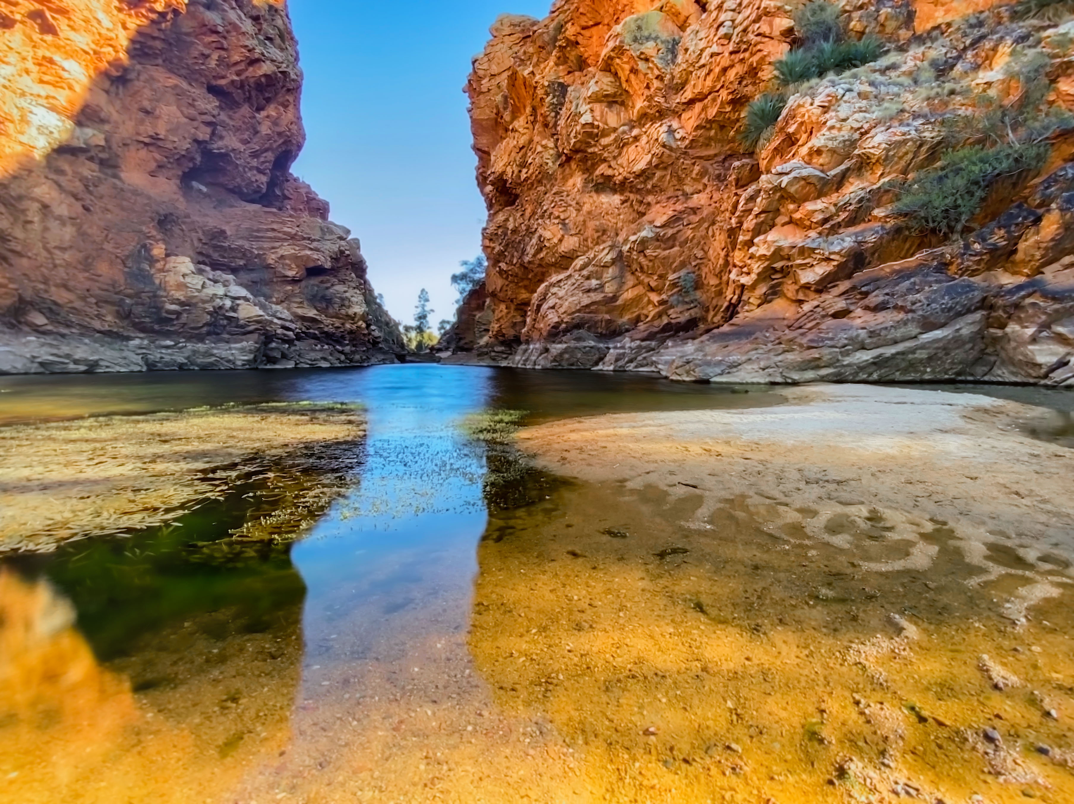 Ellery Creek Big Hole 1