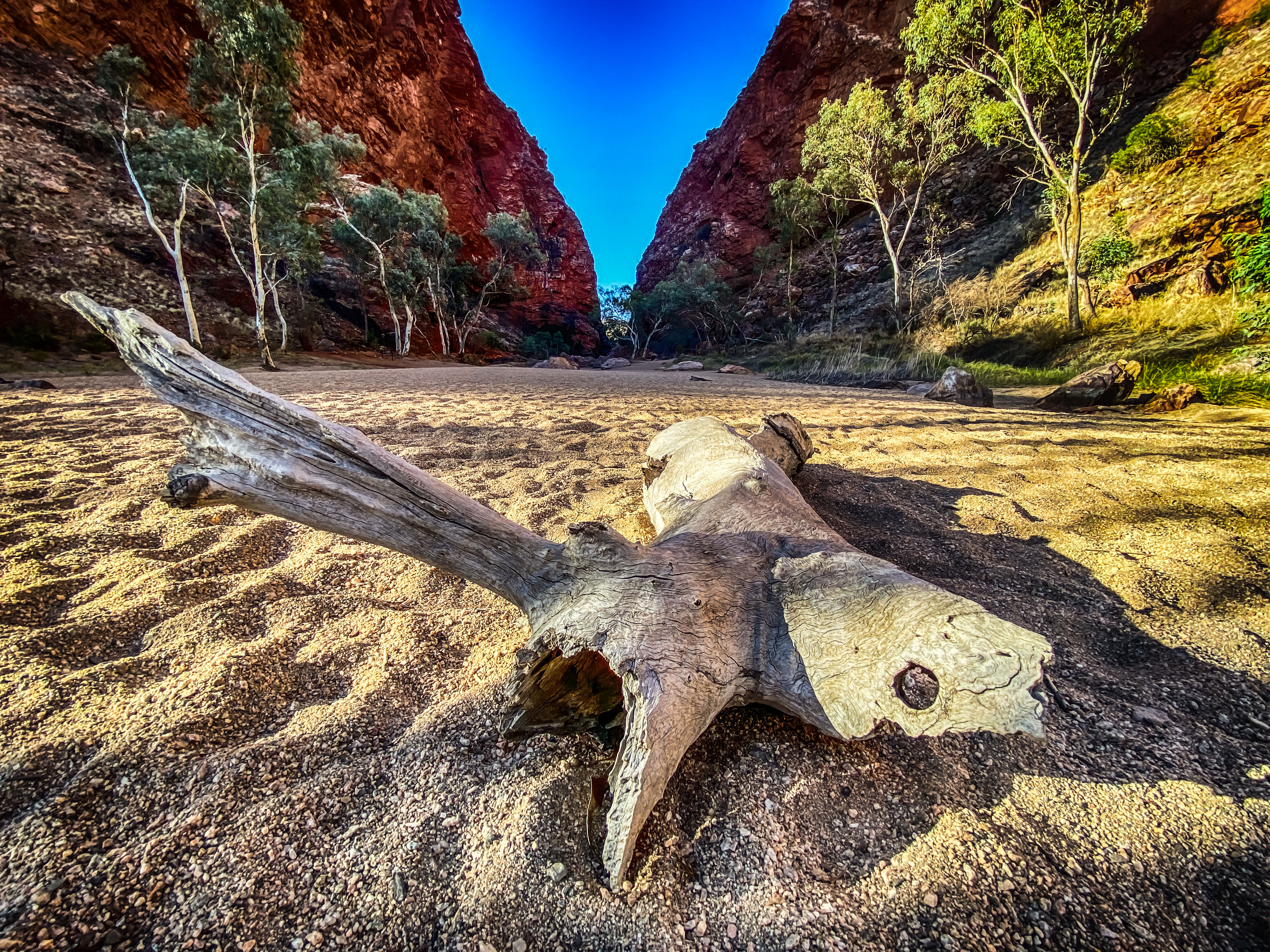 Simpsons Gap 2